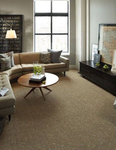 living room with carpet